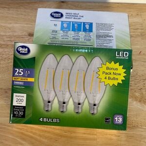 2 Boxes of 4 Great Value 25 W LED Light Bulbs Chandelier New in Box (8 Total)